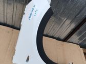 Fender