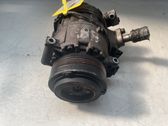 Klimakompressor Pumpe