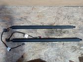 Tailgate/trunk strut/damper