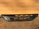 Front bumper lower grill