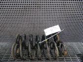 Rear coil spring
