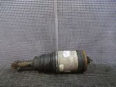 Rear shock absorber/damper