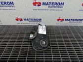 Alerón del maletero ventana trasera