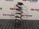 Rear coil spring
