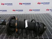 Front coil spring