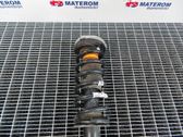 Front coil spring