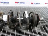 Front coil spring