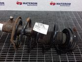 Front coil spring
