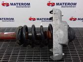Front coil spring