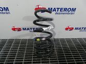 Rear coil spring
