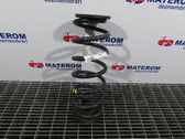 Rear coil spring