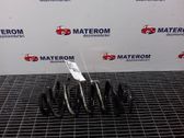 Rear coil spring