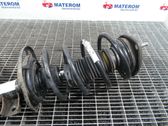 Front coil spring