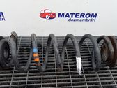 Rear coil spring