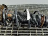 Front coil spring