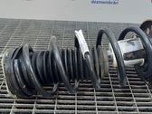 Front coil spring