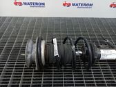 Front coil spring