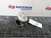 EGR valve