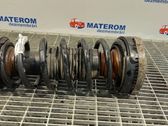 Front coil spring