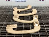 Front interior roof grab handle