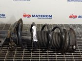Front coil spring