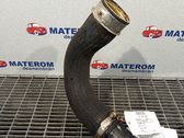 Manguera/tubo del intercooler