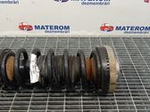 Front coil spring
