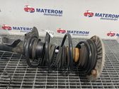 Front coil spring