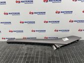 Windshield trim