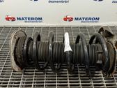Front coil spring