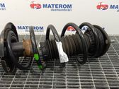 Front coil spring