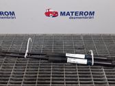 Tailgate/trunk strut/damper