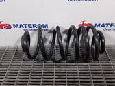 Rear coil spring