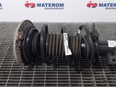 Front coil spring