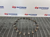 Nuts/bolts