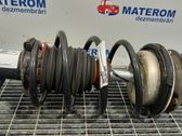 Front coil spring