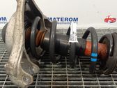 Front coil spring