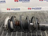 Front coil spring