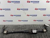 Stabilisator hinten