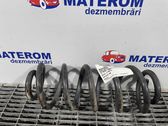 Rear coil spring