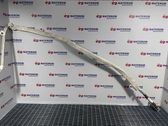 Roof airbag