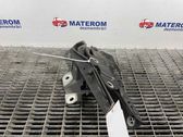 Engine bonnet/hood hinges