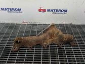 Exhaust manifold