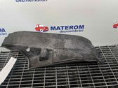 Unterfahrschutz Unterbodenschutz Motor