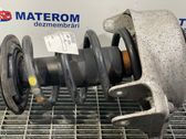 Front coil spring