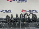 Rear coil spring