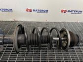 Front coil spring