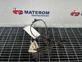 Cableado de instalación del motor