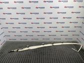 Roof airbag