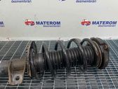 Front coil spring
